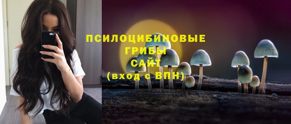 гашик Баксан