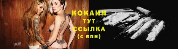 сатива Балахна