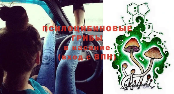 сатива Балахна