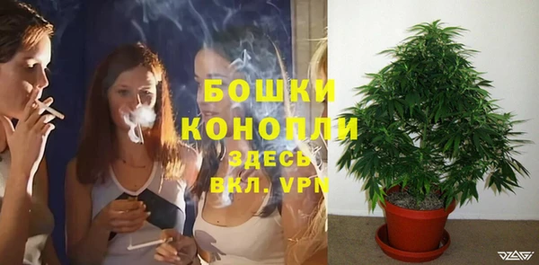 гашик Баксан