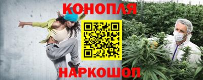 дмт Балаково