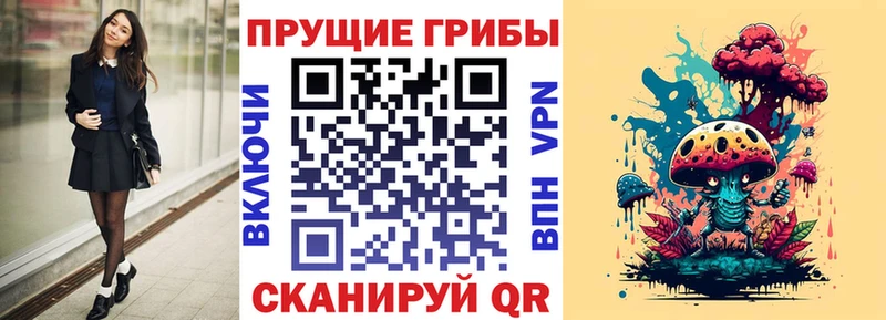 сколько стоит  Белово  Псилоцибиновые грибы Cubensis 