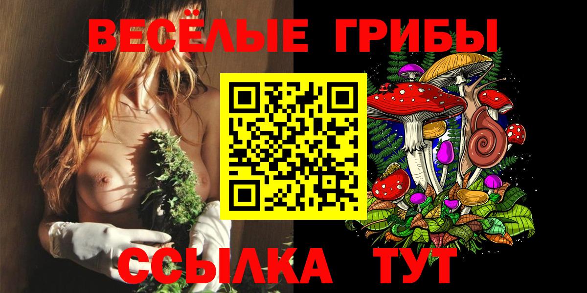 Галлюциногенные грибы Psilocybe Белово