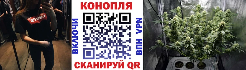 Канабис семена  Белово 